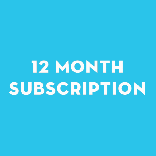 12-month SEO subscription