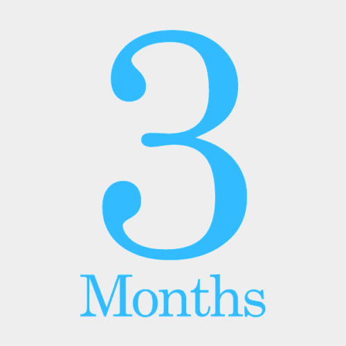 3-month SEO subscription