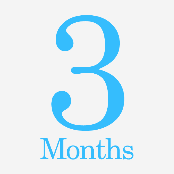 3-month SEO subscription