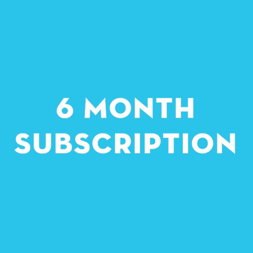 12-month SEO subscription